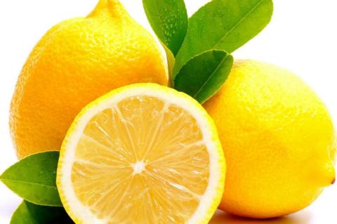 LEMONADE DAY did not hit a sour note