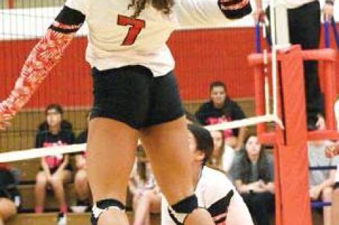 Lady Cubs win in five