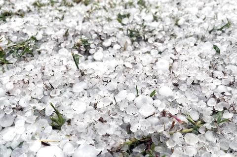 Brownfield gauges hail damage