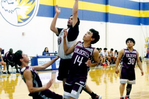 Cubs basketball earns split in second week
