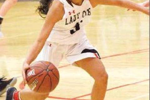 Lady Cubs drop home opener