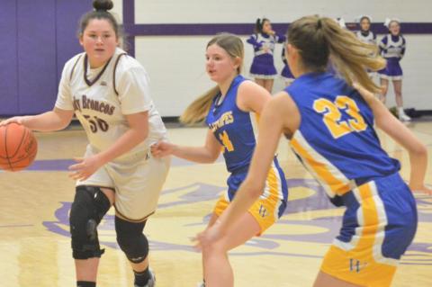 Meadow teams fall to Whiteface