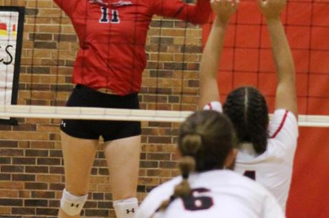 Lady Cubs sweep Lamesa