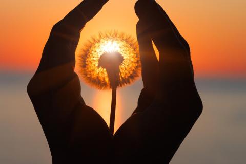 Lesson From A Spiritual Bootcamp