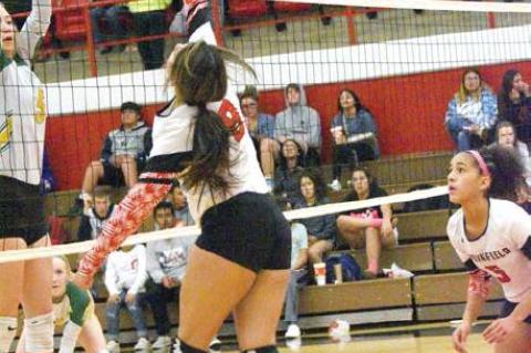 Lady Cubs head to playoffs