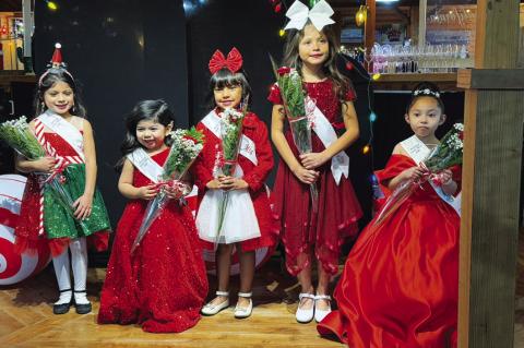 Holiday Little Miss