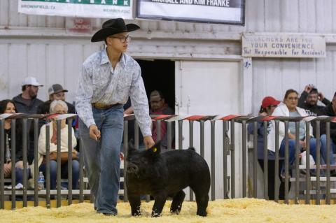 2023 BROWNFIELD LIVESTOCK SHOW