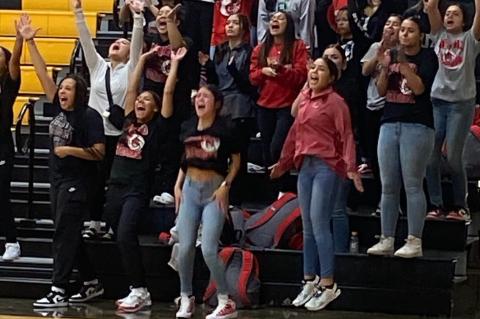 Lady Cubs Volleyball Tops Snyder 3-1