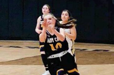 Lady Cats Struggle & Wildcats Fall