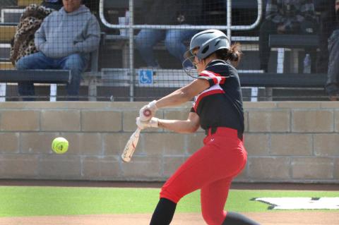 After a hard fought battle Lady Cubs lose 4-0 to Lamesa