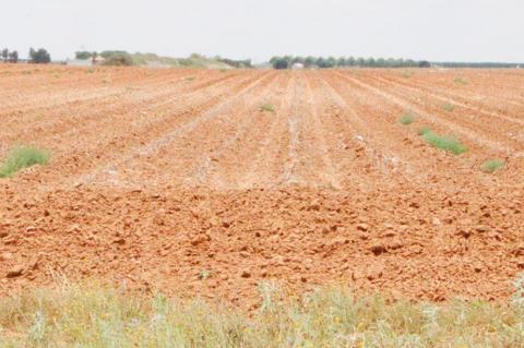 Crop Year Begins With Mixed Conditions