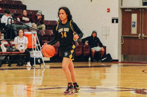 All-District Wellman-Union Honors