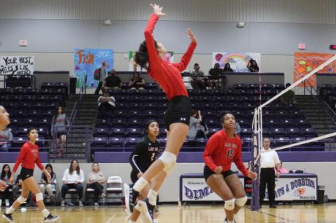 Lady Cubs defeat Bobbies on Saturday