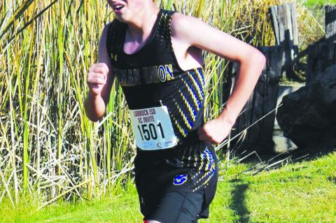 Hesse, Cantrell lead Terry County runners to Region I meet