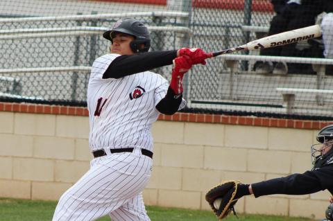 Freshman walk off secures Cubs second win in district