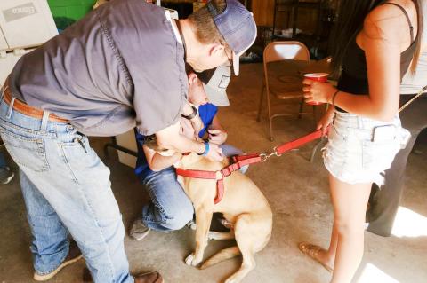 Bark in the Park returns after hiatus due to COVID