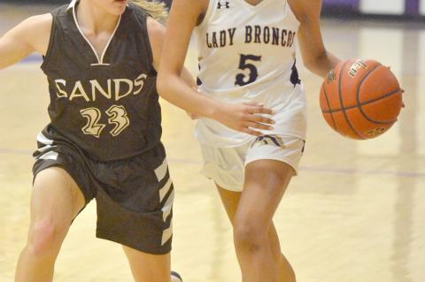 MEADOW VS. SANDS