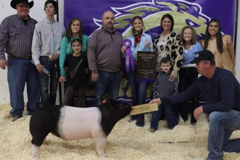 Grand Champion Lamb
