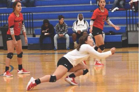 Lady Cubs earn Gold Ball