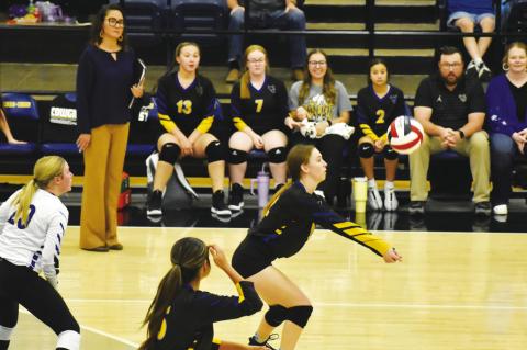 Wellman-Union to play Rotan, open District against Loop