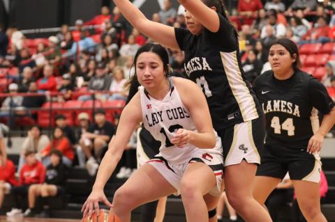 Jaelyn Molina working under the basket(Krystal Valentin)