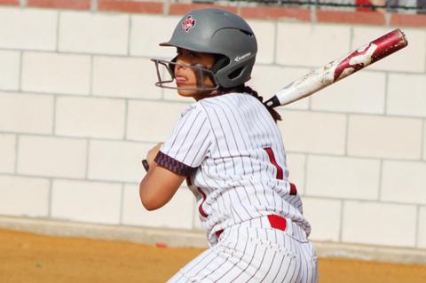 Lady Cubs offense blitz the Bobbies