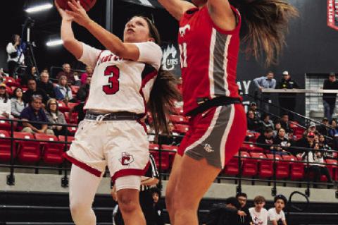 Brownfield Splits Games Against Denver City
