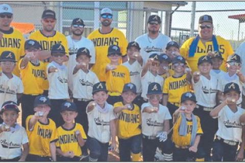 Teams from Andrews and Seminole pose for a picture following the conclusion of the first Rookie Baseball Tournament on Saturday in Brownfield. (Terry County Youth Sports Courtesy Photo)