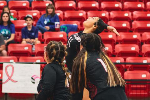 Cubs, Lady Cubs make history with victory against Andrews