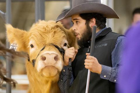 2023 BROWNFIELD LIVESTOCK SHOW
