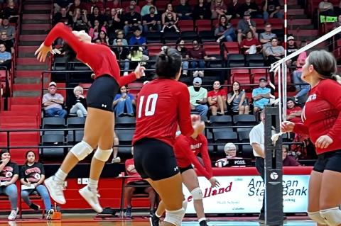 Lady Cubs Volleyball: Missing Pieces 
