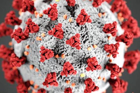 Coronavirus has major impact