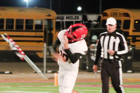 Cubs Fall to Mules in Bi-District