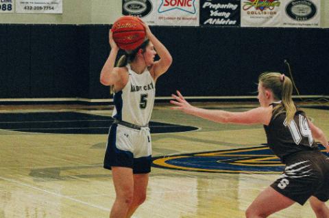 All-District Wellman-Union Honors
