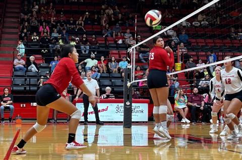 Lady Cubs Volleyball: Missing Pieces 