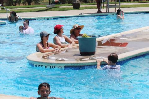 Staying cool in the pool