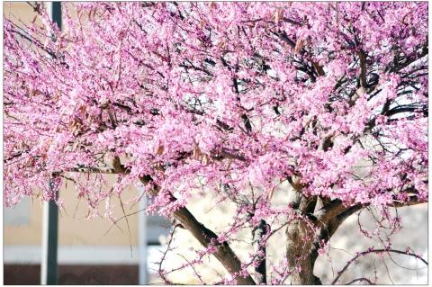 Spring is finally here to stay!