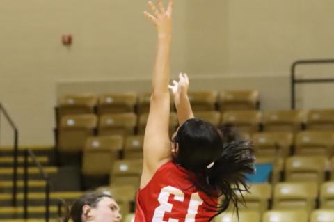 Lady Cubs take a loss in the last second against Andrews 32-30