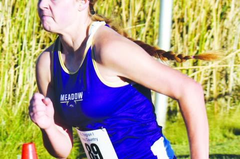 WU’s Arendall books return trip to State, Meadow finishes season