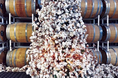 A tree made with cotton bolls adorns The Armory. (Melissa McCaghren/ Brownfield News)