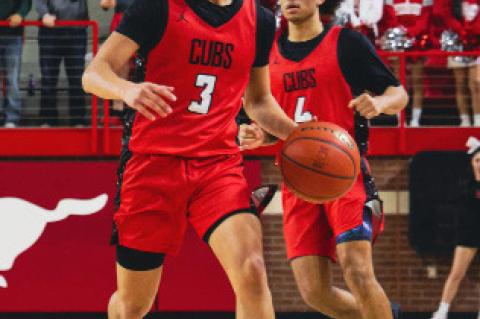 All-District Cubs Honors