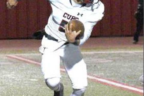 Brownfield Cubs turn ice cold
