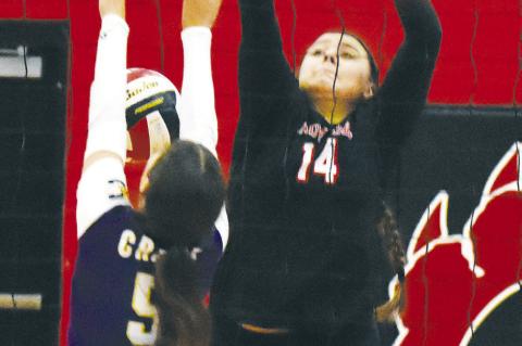 Lady Cubs open District with win over Crane
