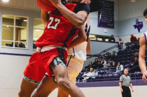 Cubs, Lady Cubs tracking strong early season efforts