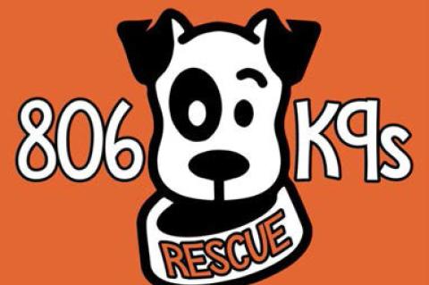 Local nonprofits join forces to help solve pet overpopulation problem