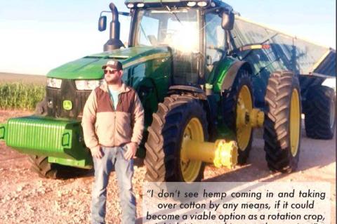 Farmers hoping hemp brings greener pastures