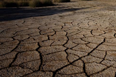 New Texas Report Predicts Extreme Weather, Drought Conditions to Worsen