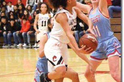 Lady Cubs drop home opener
