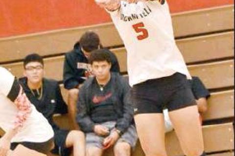 Lady Cubs drop two in a row