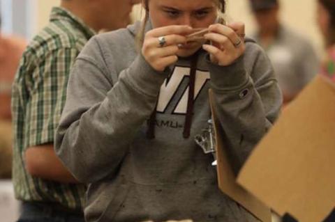 Terry County 4-H Members Excel at Texas 4-H Roundup